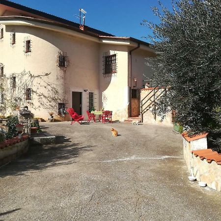Pensjonat Casa Fra Gli Ulivi Di Giuseppe Sonnino Zewnętrze zdjęcie