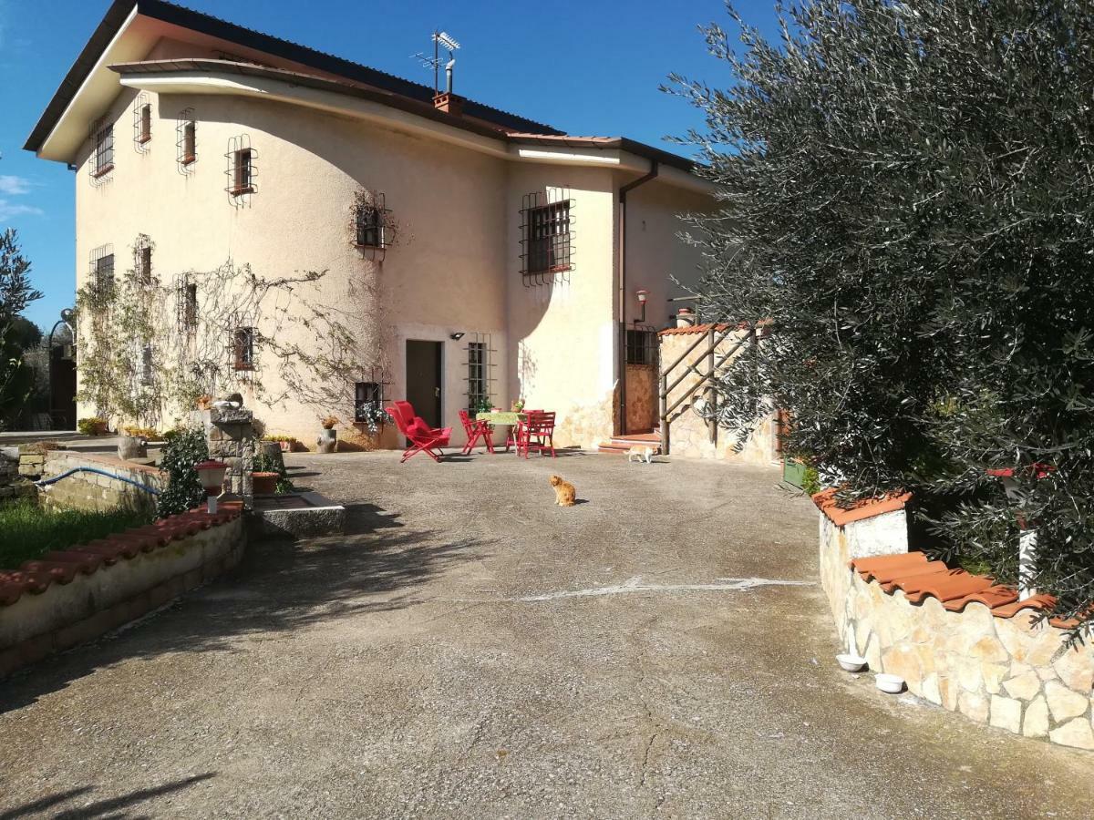Pensjonat Casa Fra Gli Ulivi Di Giuseppe Sonnino Zewnętrze zdjęcie