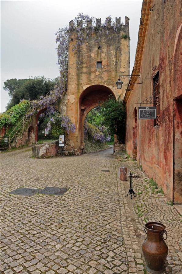 Pensjonat Casa Fra Gli Ulivi Di Giuseppe Sonnino Zewnętrze zdjęcie